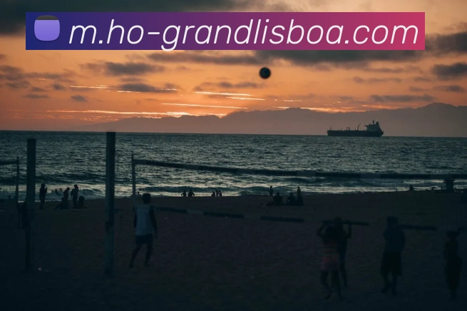 新葡京娱乐平台生态图